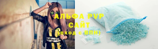прущие грибы Лихославль