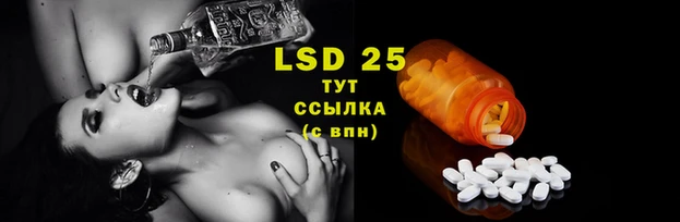 мяу мяу мука Липки