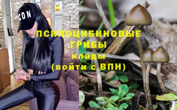 прущие грибы Лихославль