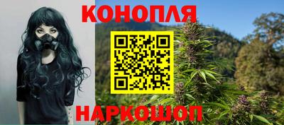 мяу мяу мука Гатчина