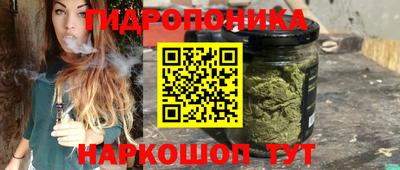 мяу мяу мука Гатчина