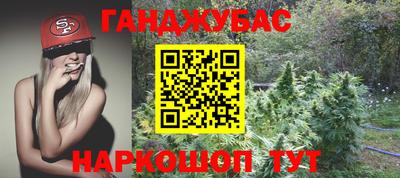 ешки Гай