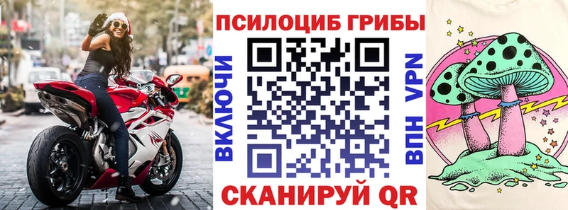 shop состав  Джанкой  Галлюциногенные грибы Psilocybe 