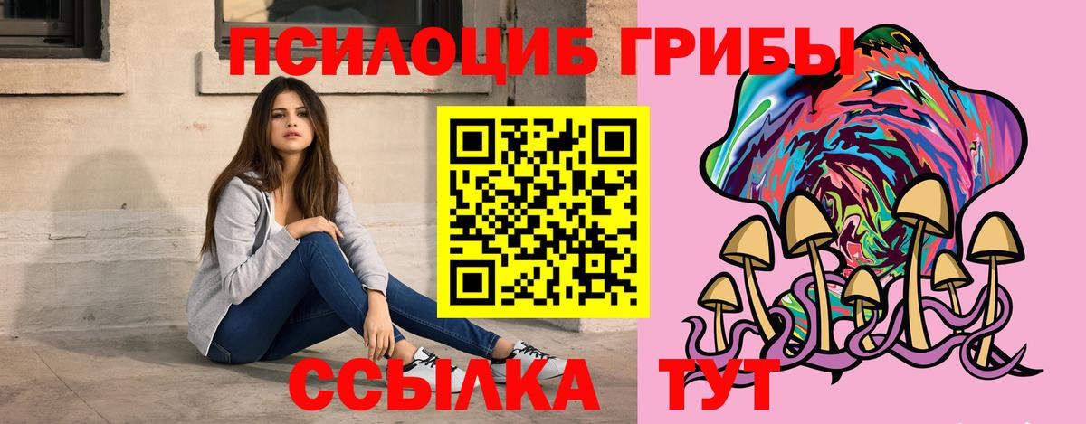 Псилоцибиновые грибы MAGIC MUSHROOMS  Вход с VPN  Джанкой 