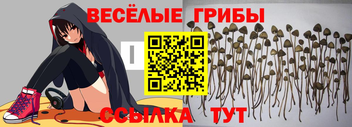 Галлюциногенные грибы MAGIC MUSHROOMS Джанкой