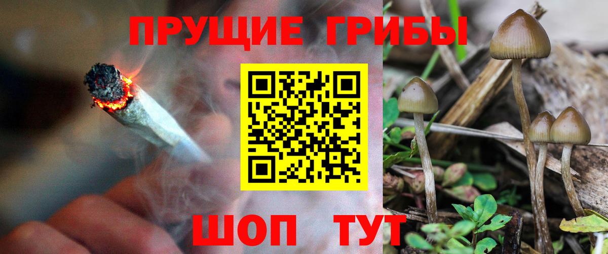 Псилоцибиновые грибы Cubensis  Галлюциногенные грибы Cubensis  Джанкой 